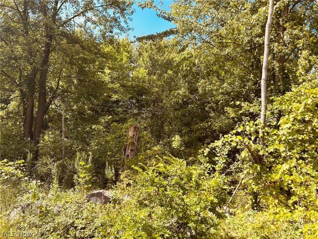 Land for sale in Medina, Ohio