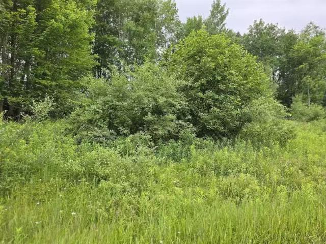 House for rent in Big Rapids
