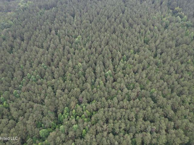 Land for sale in Duck Hill, Mississippi