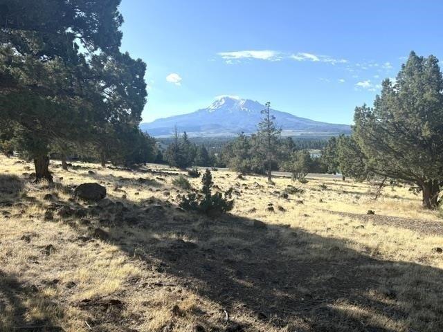 Land for sale in Weed, California