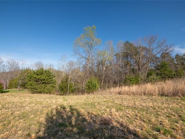 Land for sale in Blanch, North Carolina