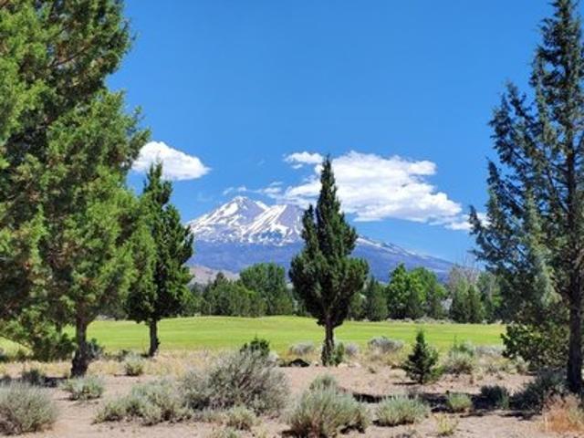 Land for sale in Weed, California