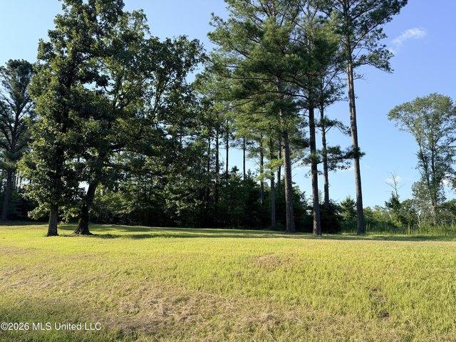Land for sale in Brandon, Mississippi