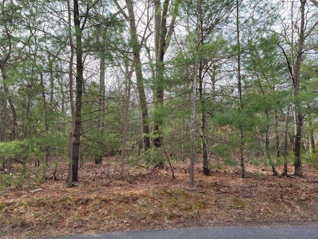 Land for sale in Middle Island Land for sale in Middle Island