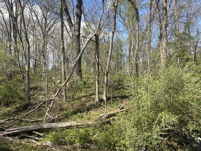 Land for sale in Putnam, Illinois