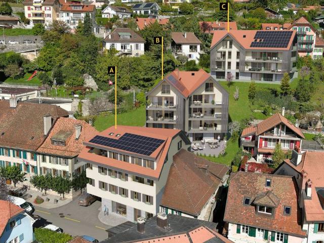 Wohnung kaufen in Chexbres, Waadt