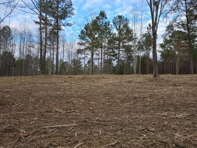 Land for sale in Mentone, Alabama