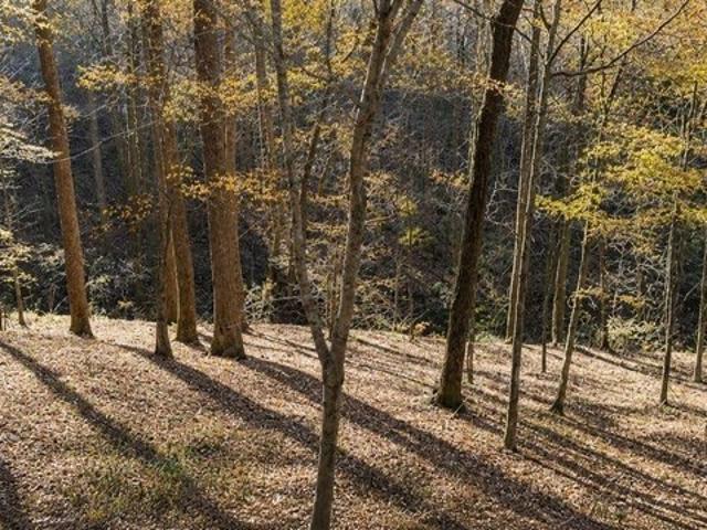 Land for sale in Tennessee