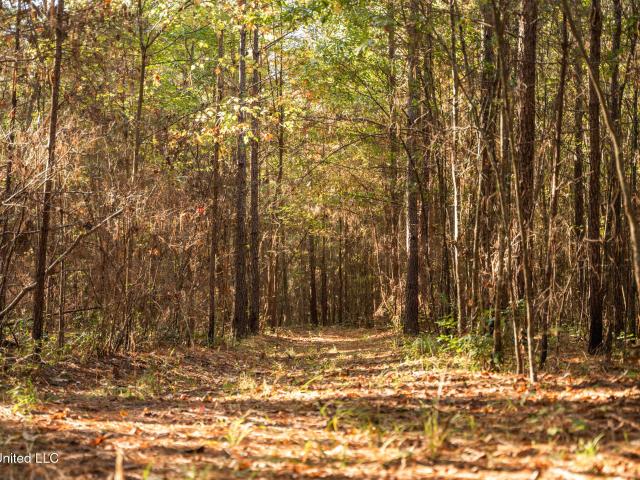 Land for sale in Meridian, Mississippi