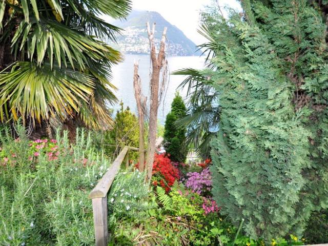 Einfamilienhaus kaufen in Paradiso, Tessin