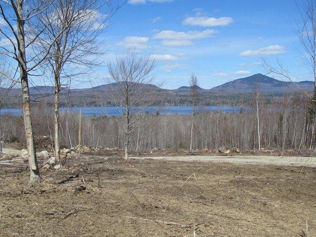 Land for sale in Weld, Maine
