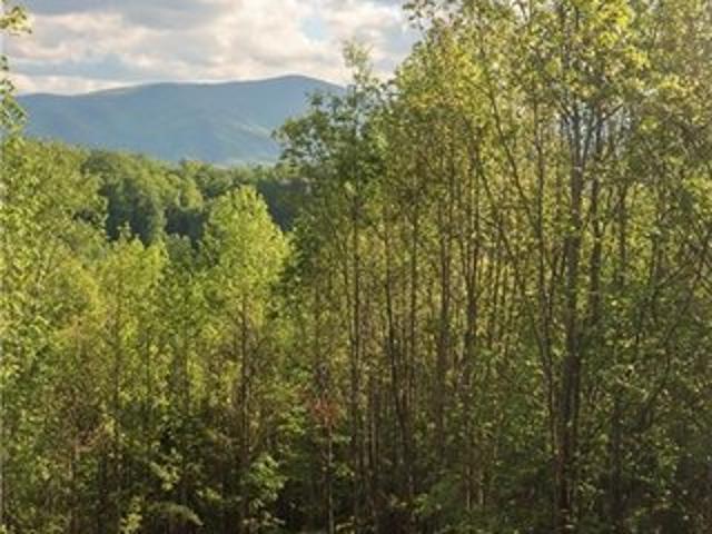 Land for sale in Avery, North Carolina