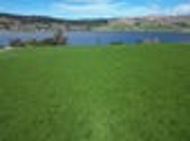 Land for sale in Otakou