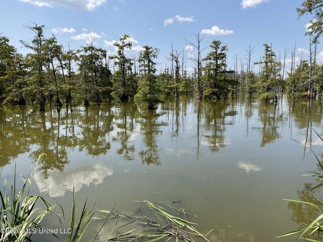 Land for sale in Mississippi