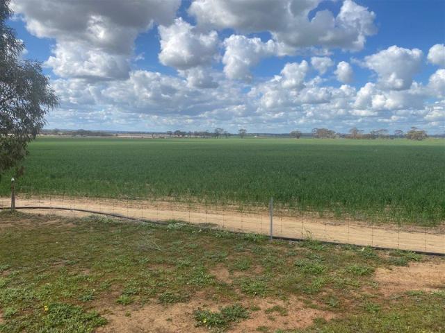 Cottage for sale in South Quairading, Western Australia
