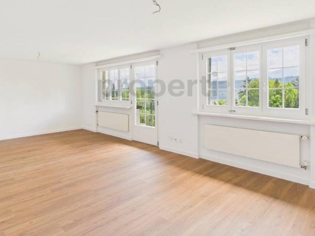 Apartment mieten in Rapperswil-Jona, St. Gallen