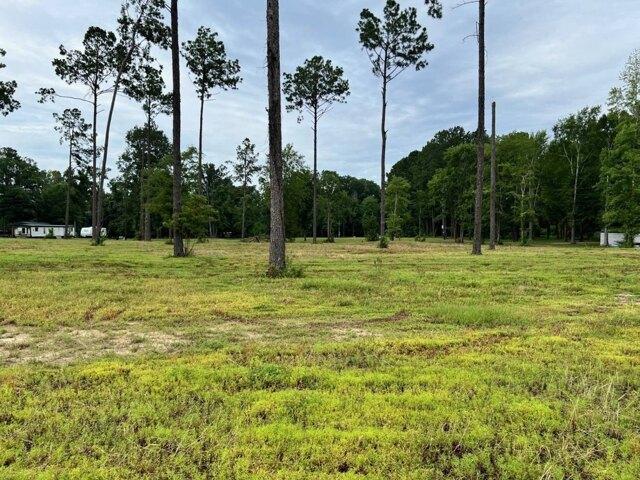 Land for sale in Many
