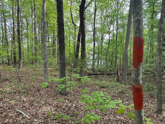 Land for sale in Virginia