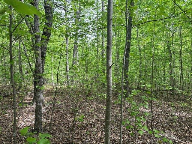 Land for sale in Virginia