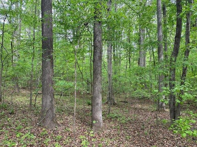 Land for sale in Virginia
