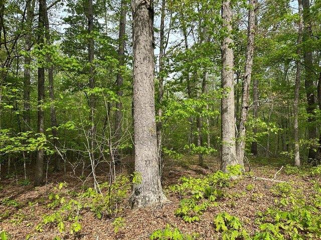 Land for sale in Virginia