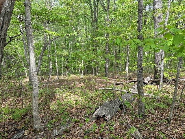 Land for sale in Virginia