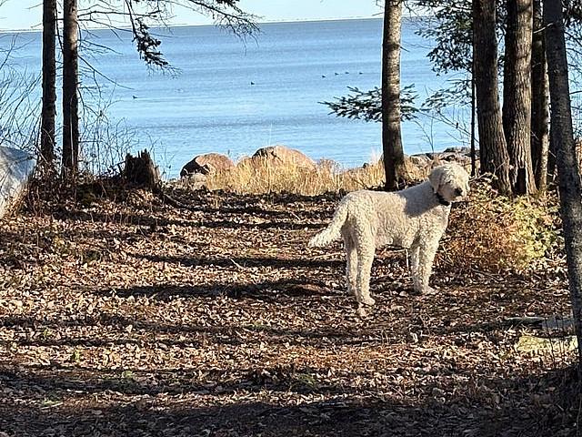 Land for sale in Manitoba