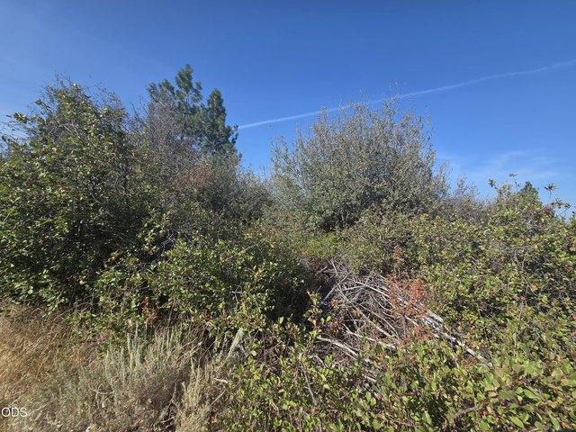 Land for sale in Chiloquin, Klamath County