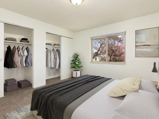 Apartment for rent in Loveland, Colorado