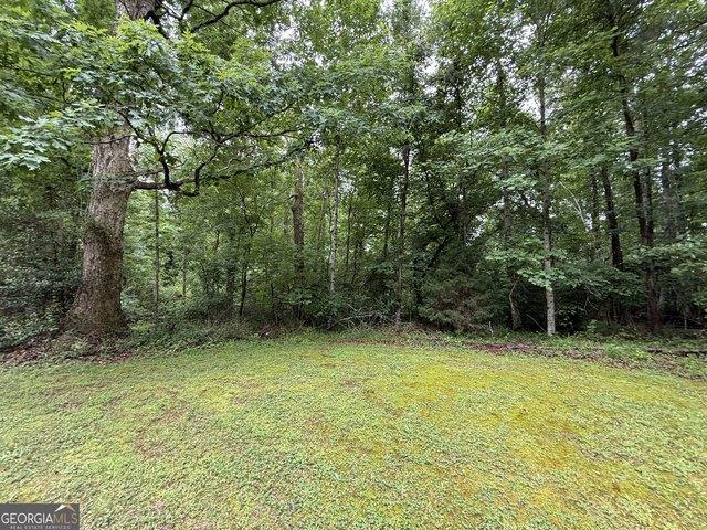Land for sale in Demorest, Georgia
