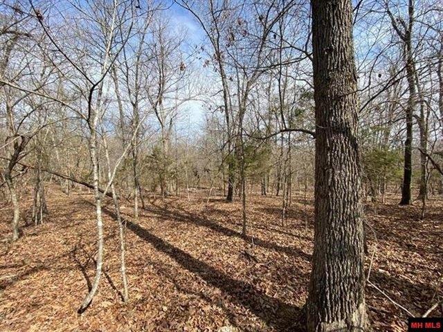 Land for sale in Ark