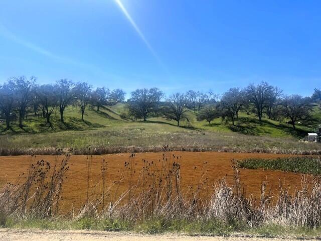 Land for sale in Lakeport