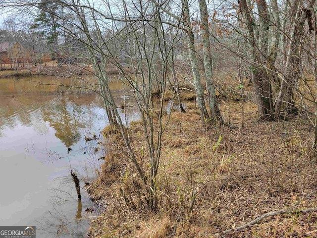 Land for sale in Temple, Georgia