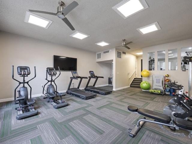 Apartment for rent in Dallas, Texas