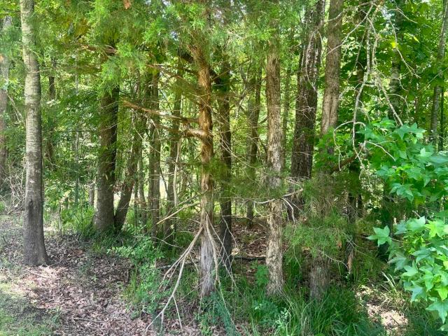 Land for sale in Grenada, Mississippi