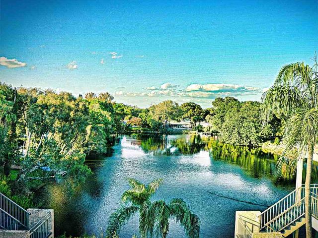 Apartment for rent in Saint Petersburg, Florida