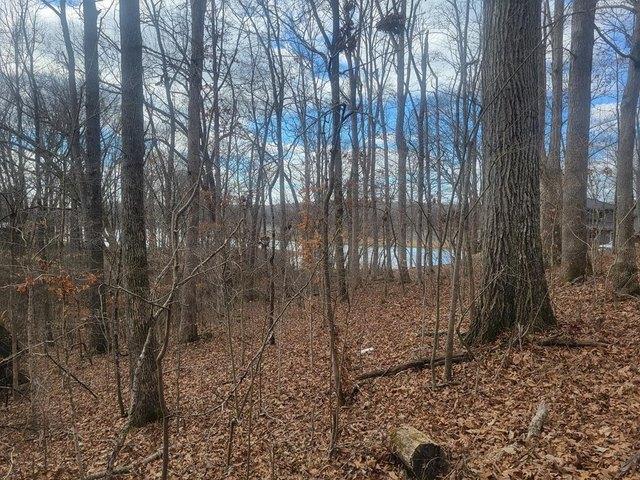 Land for sale in Tennessee