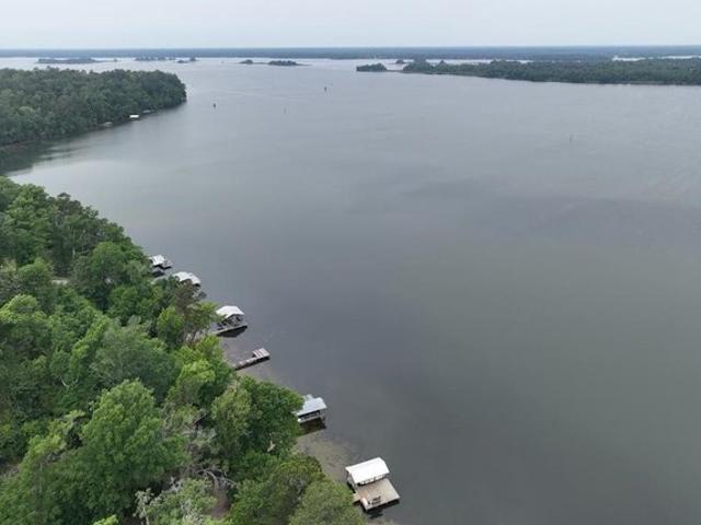 Land for sale in Bainbridge, Georgia