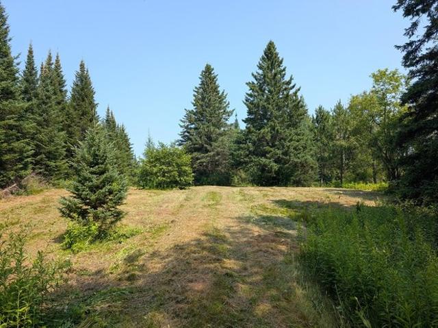 Land for sale in Butternut, Wisconsin
