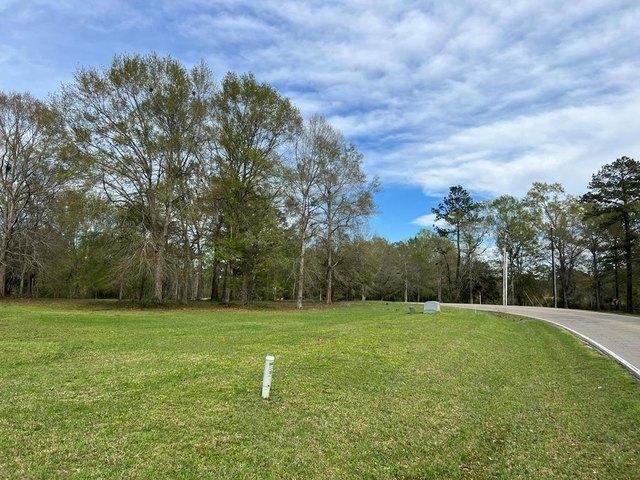 Land for sale in Carriere, Mississippi