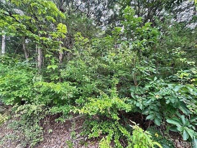 Land for sale in Gasconade, Missouri