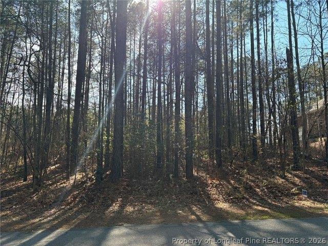 Land for sale in Scotland, North Carolina