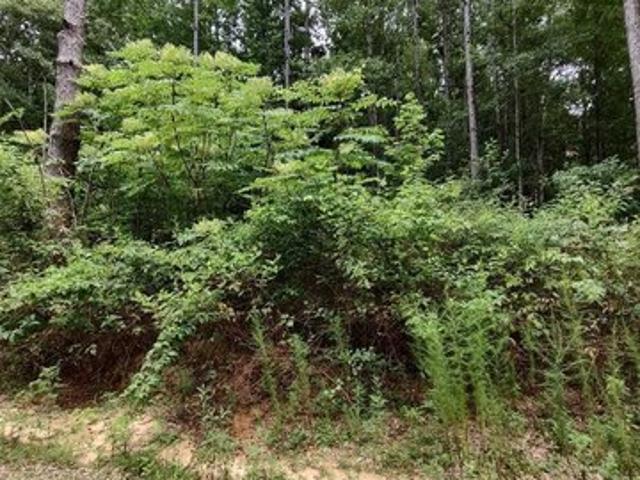Land for sale in Lumberton, Mississippi
