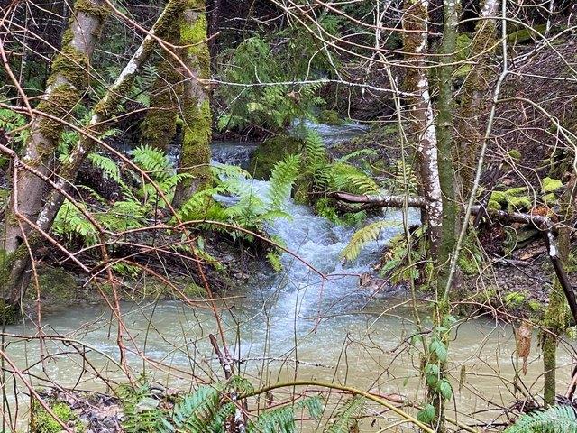 Land for sale in Willits, California