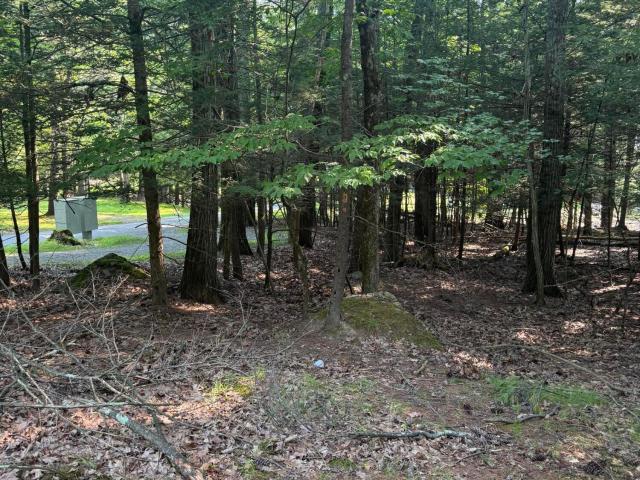 Land for sale in Lakeville, Pennsylvania