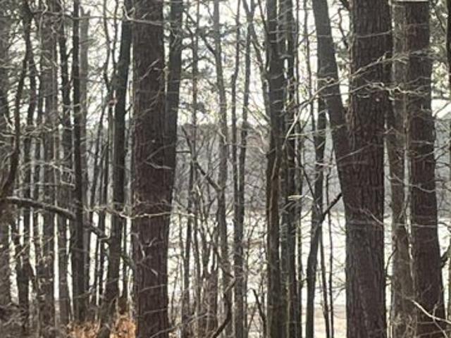 Land for sale in Lincolnton, Georgia