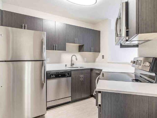 Apartment for rent in San Mateo, California