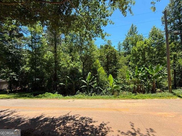 Land for sale in Martin, Georgia