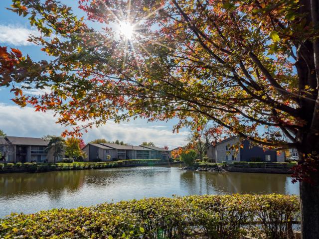 Apartment for rent in Lisle