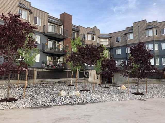 Apartment for rent in Chilliwack, British Columbia